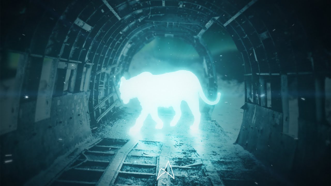 Arc North & Alfons - Knight Rider 🎶