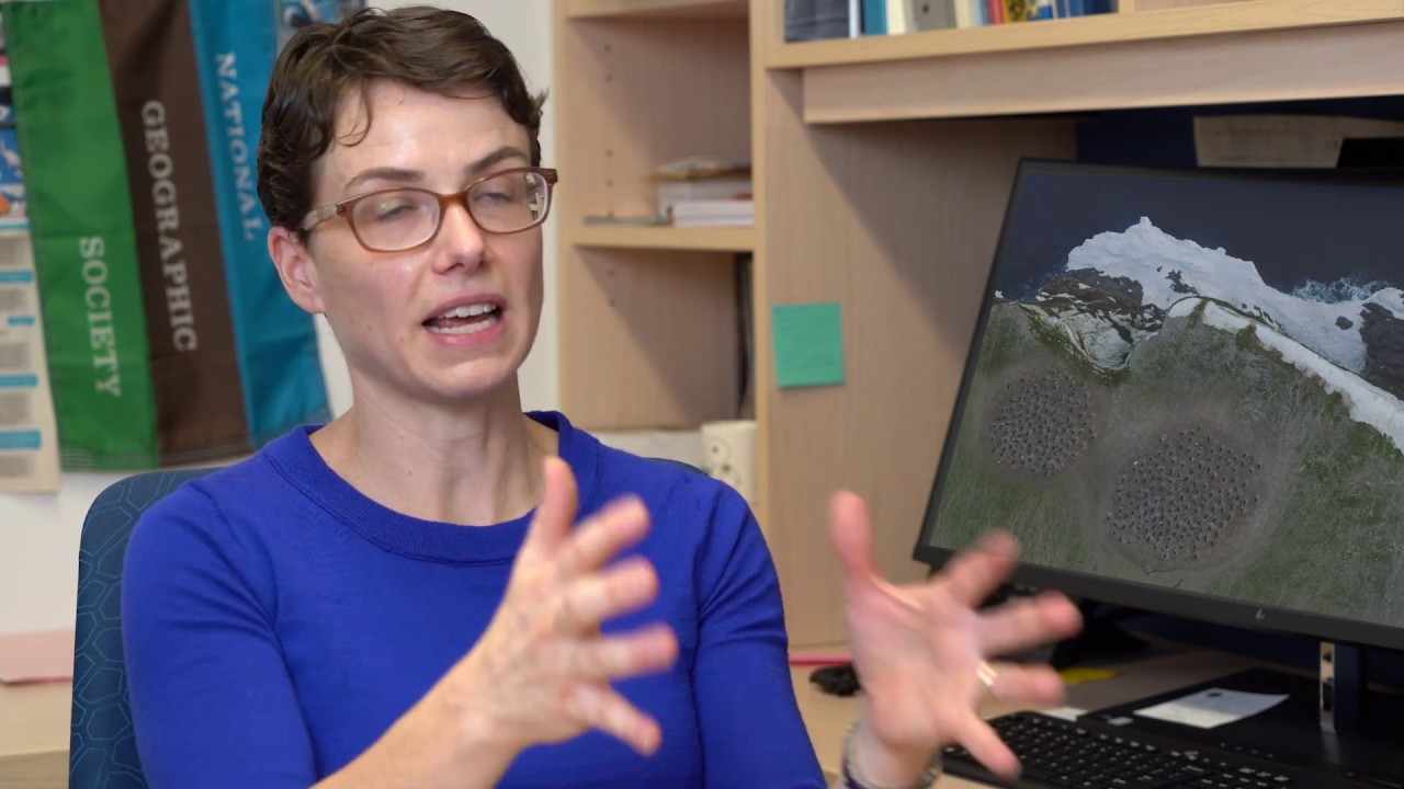 Discover How the Institute for Advanced Computational Science Accelerates Cutting-Edge Research 🚀