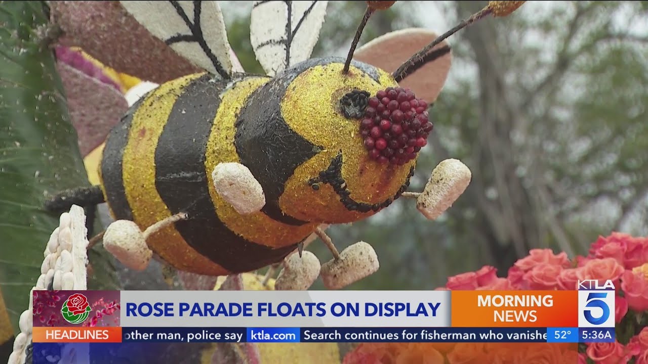 Floatfest in Pasadena: Up-Close Rose Parade Floats 🎉