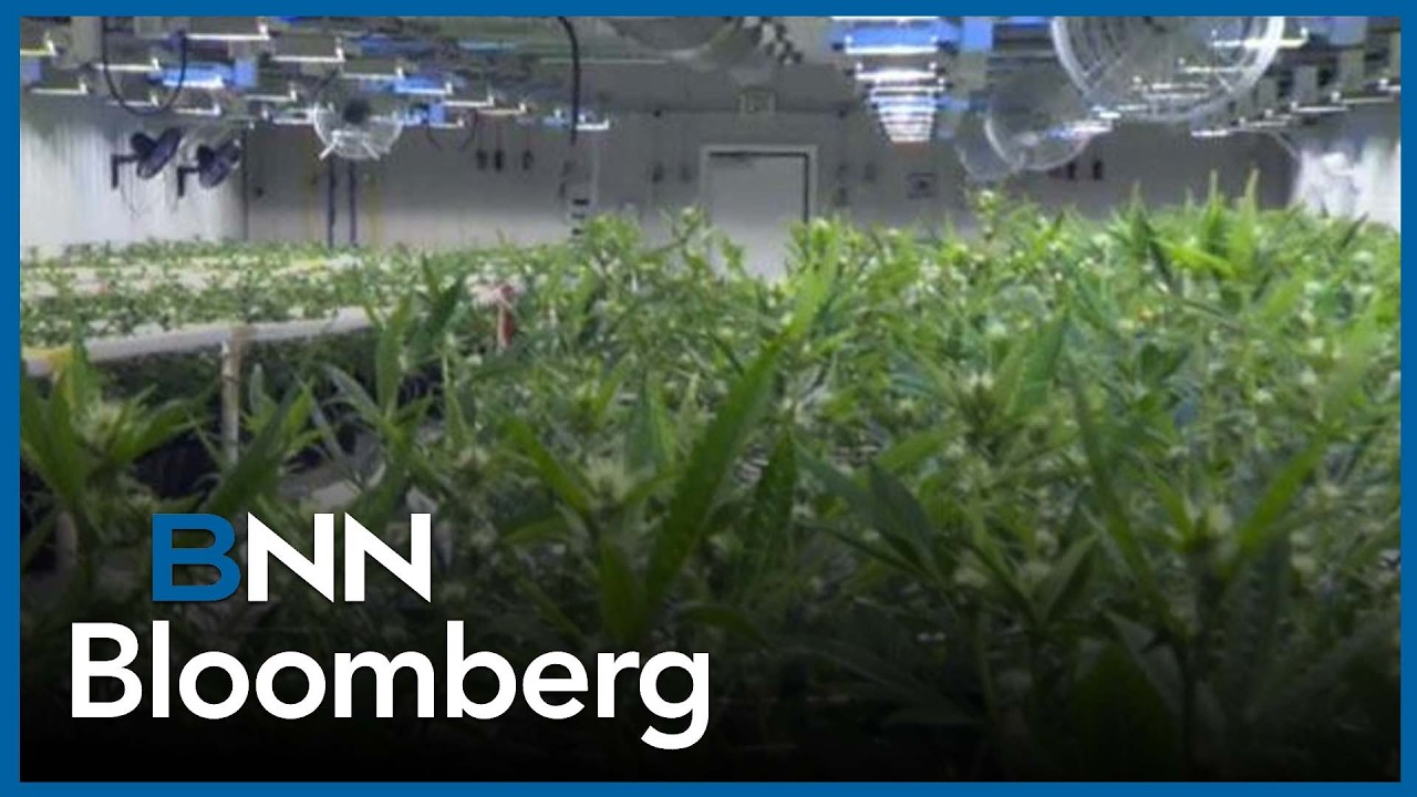 Canopy Growth completes takeover of MTL Cannabis