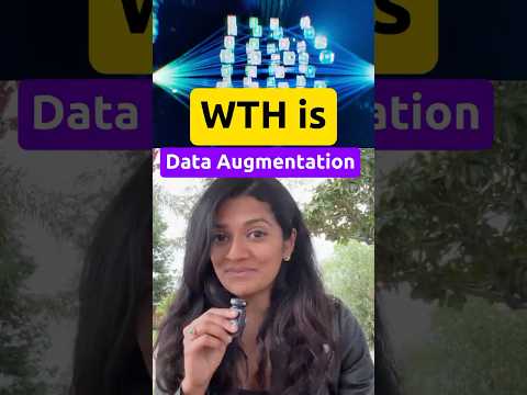 WTH is Data Augmentation