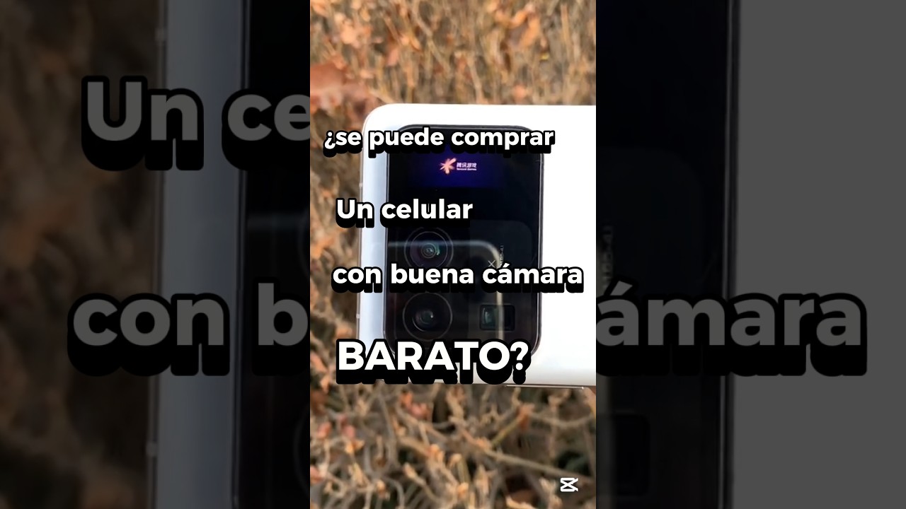Celular barato con buena cámara 📱