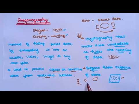 Steganography Detailed Introduction|Lec 151|Computer networks|Ankita Sood