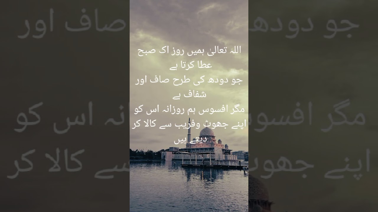 Islamic Insights: Learn About Allah & Prophet Muhammad ✨