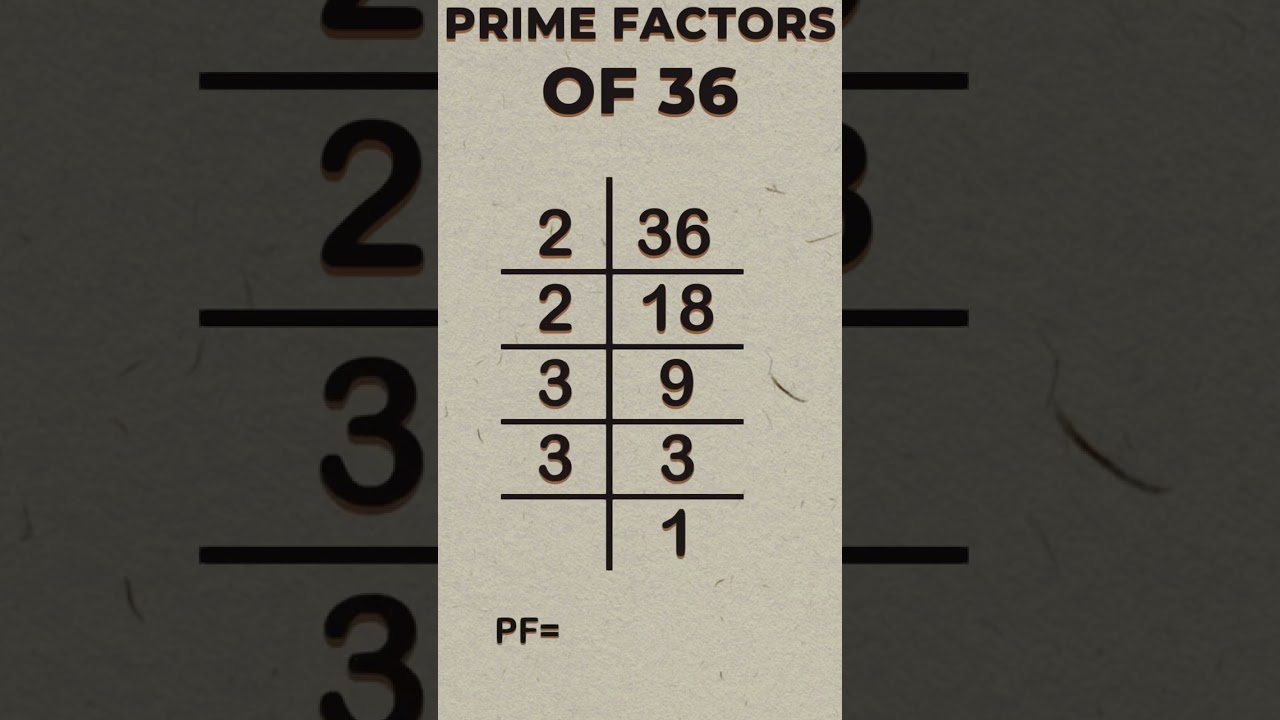 Prime Factors of 36 Explained ๐ข