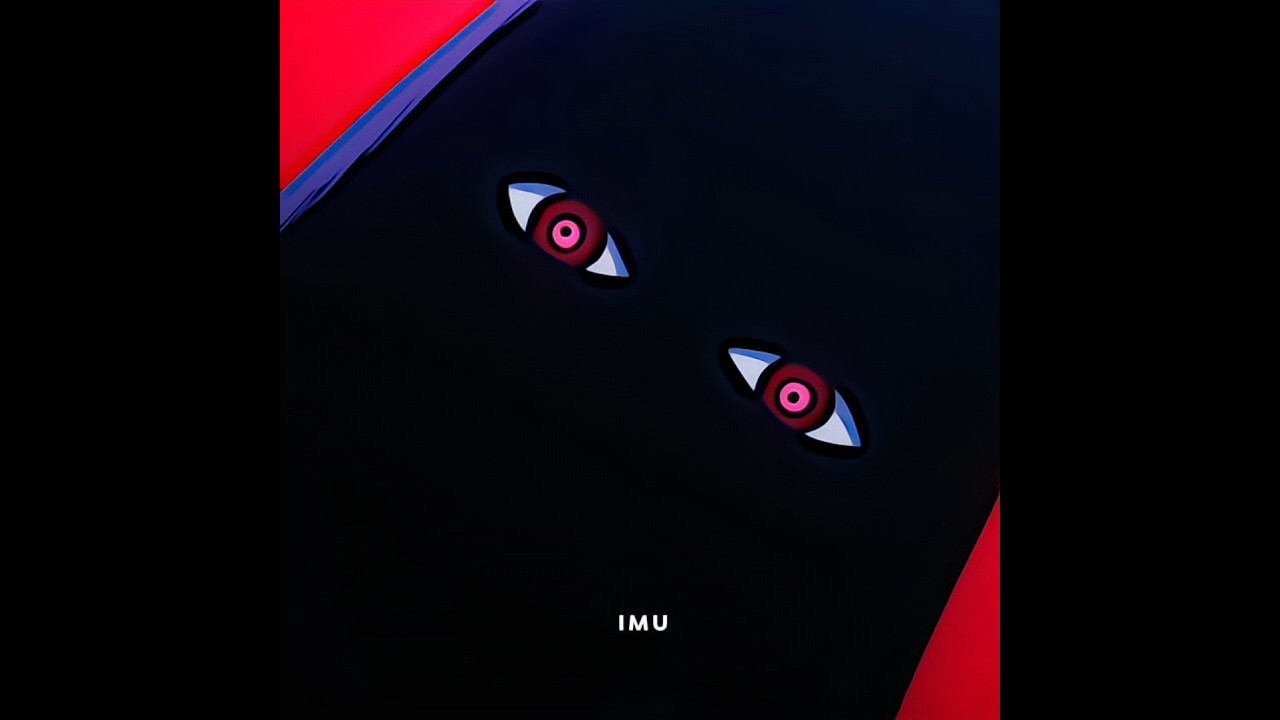 SABO Reveals Key Insights on IMU 📈