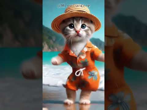 #ep88 ❤😻🐾 Meow Dance #cat #lovecats #cats #catvideos #kittens #catlover #princesscat #kitten