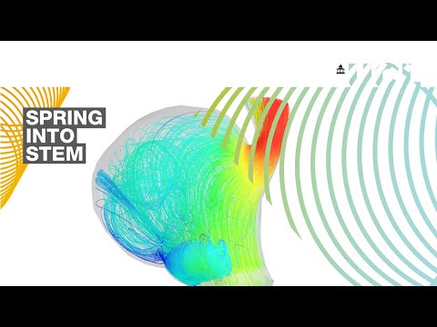 Computational modelling: the heart of the matter | Spring Into STEM