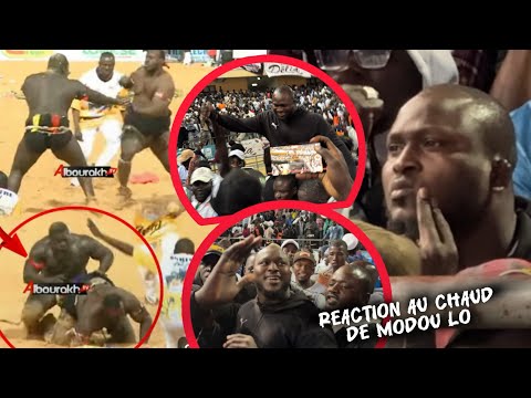 Cummikay Ama baldé VS Franc: Modou Lo craque et donne la clé du victoire à franc contre Ama baldé