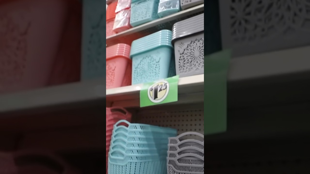 She Transformed Dollar Tree Organizers! 😱