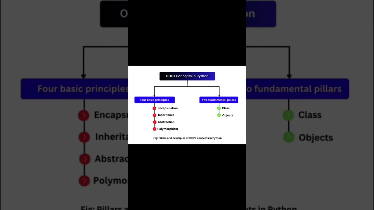 Master OOP Concepts for Better Coding π₯