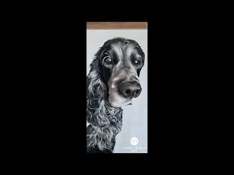Drawing a dog's nose