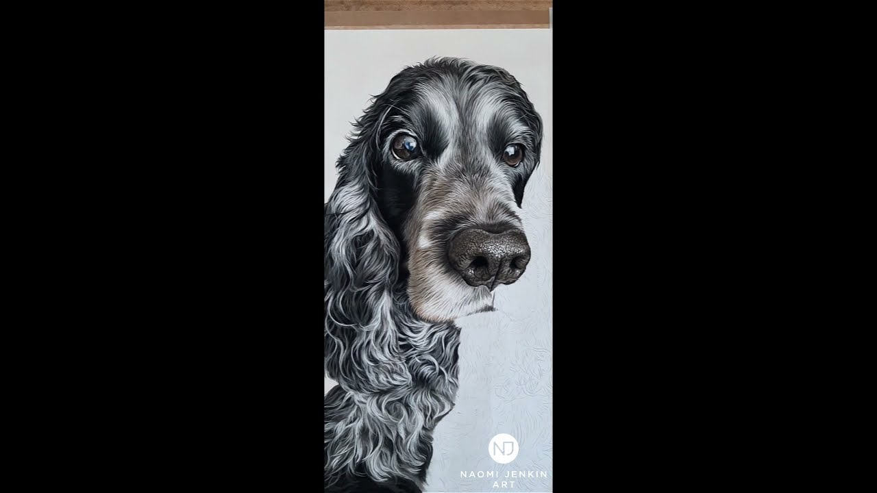 Drawing Ella the Cocker Spaniel's Cute Nose 🐶
