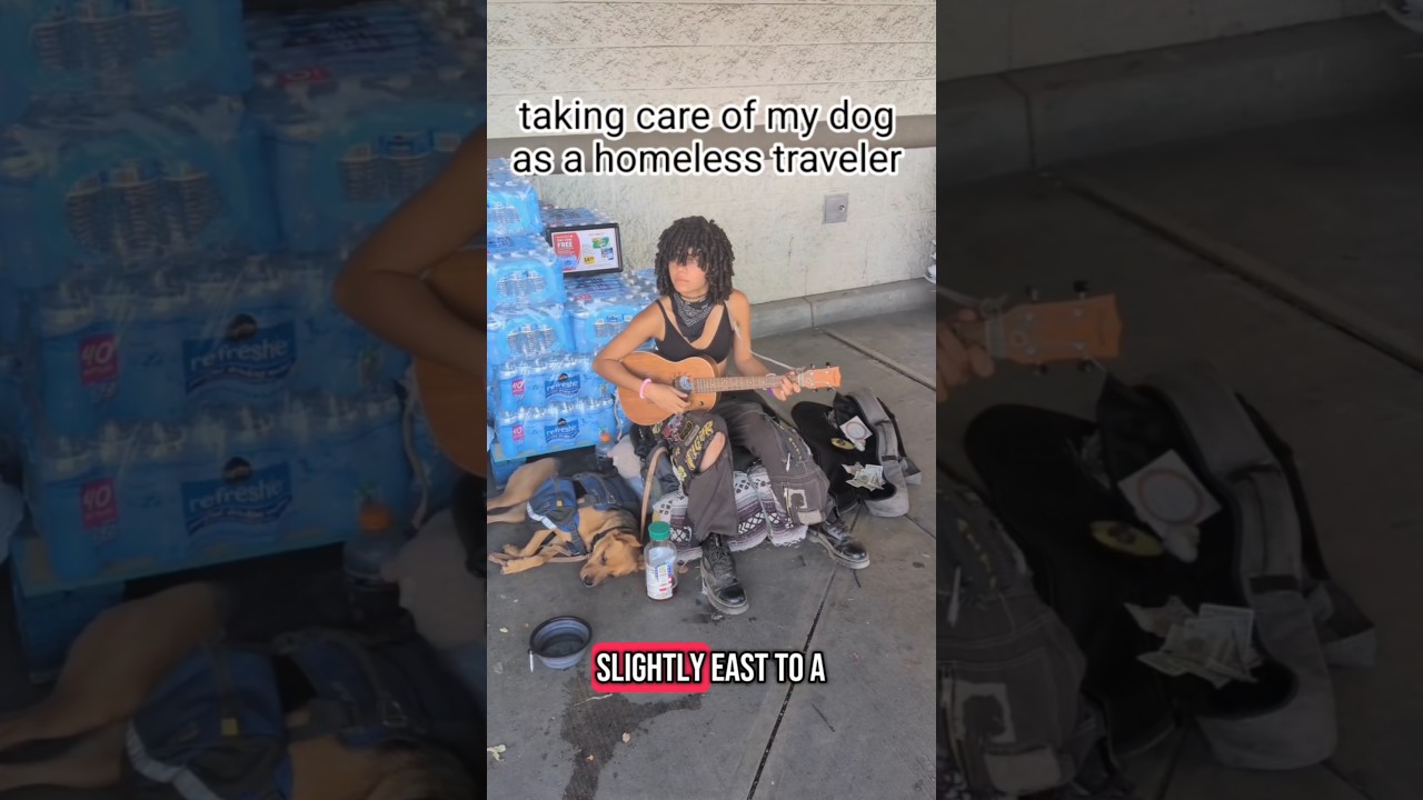 Nomad's Journey: Traveling with a Homeless Dog 🐶