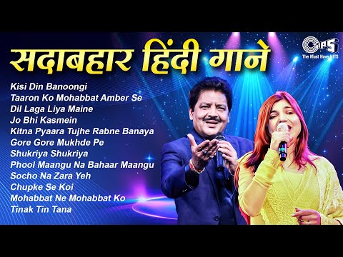 सदाबहार हिंदी रोमांटिक गाने | उदित नारायण & अलका याग्निक 90s हिट्स