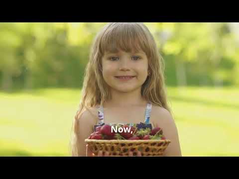 Cracking the Code: Types of Machine Learning Algorithms Explained