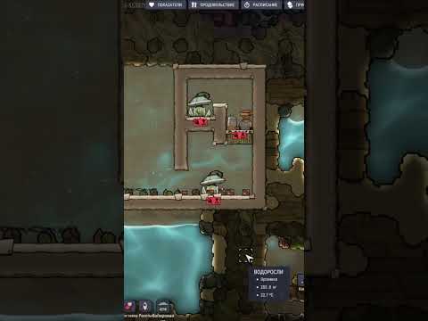 САМАЯ ПРОСТАЯ и компактная ЛИЗЕРКА в ОКСИДЖЕН #оксиген #oxygen #лизерка #гайд #shorts #shortvideo