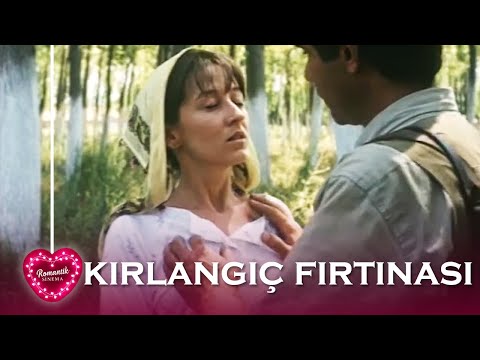 Kırlangıç Fırtınası 💖 Perihan Savaş