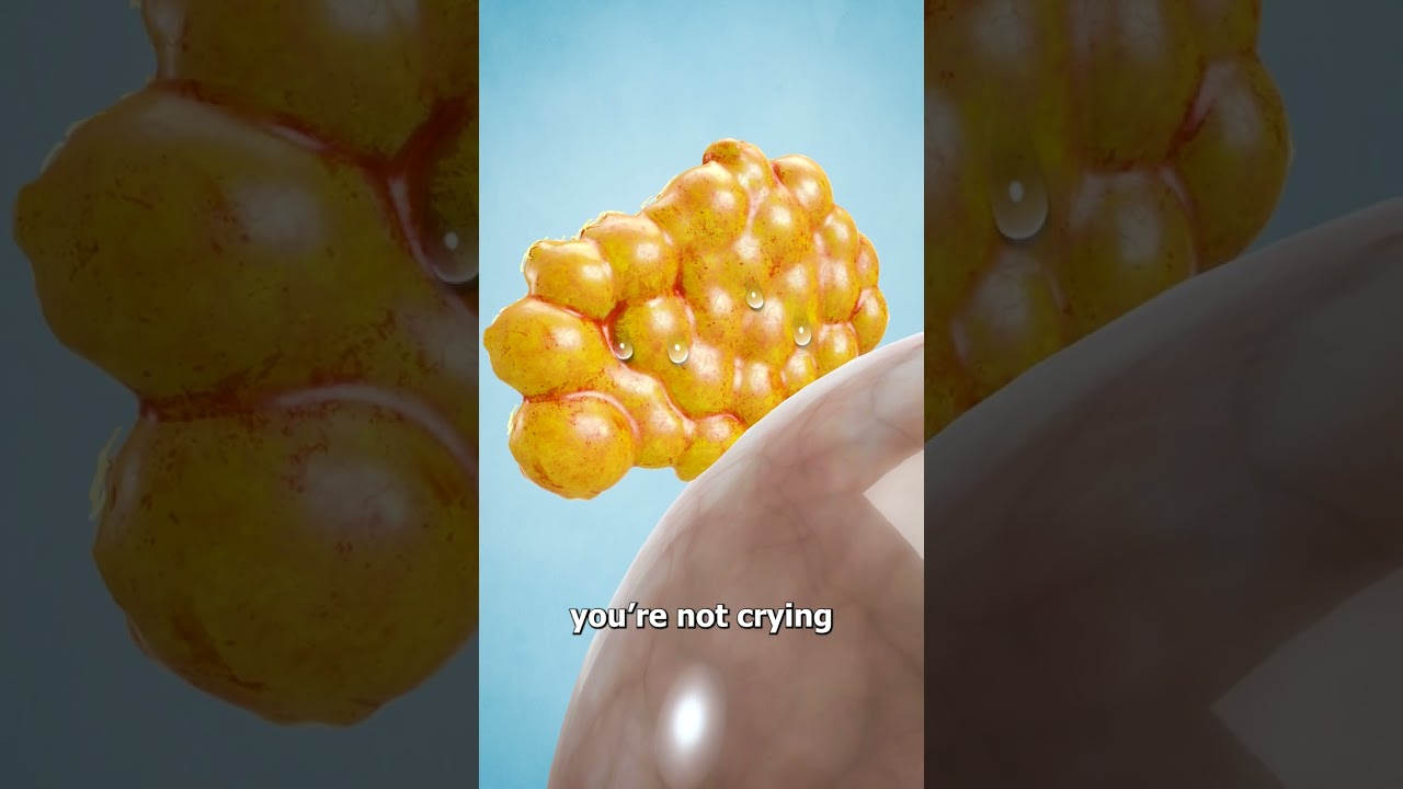 Understanding Why We Cry 😭