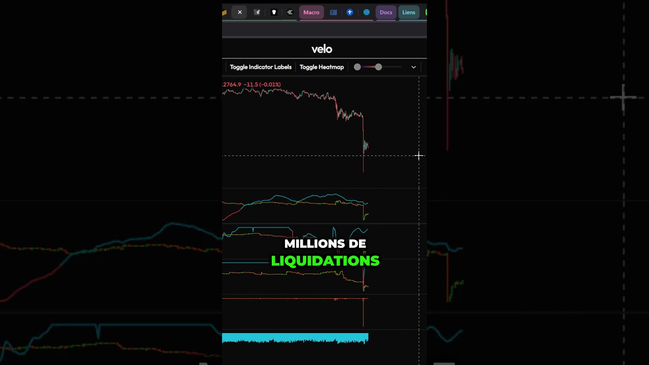 Crash Massif des Altcoins : Opportunité ou Risque ? 🚨