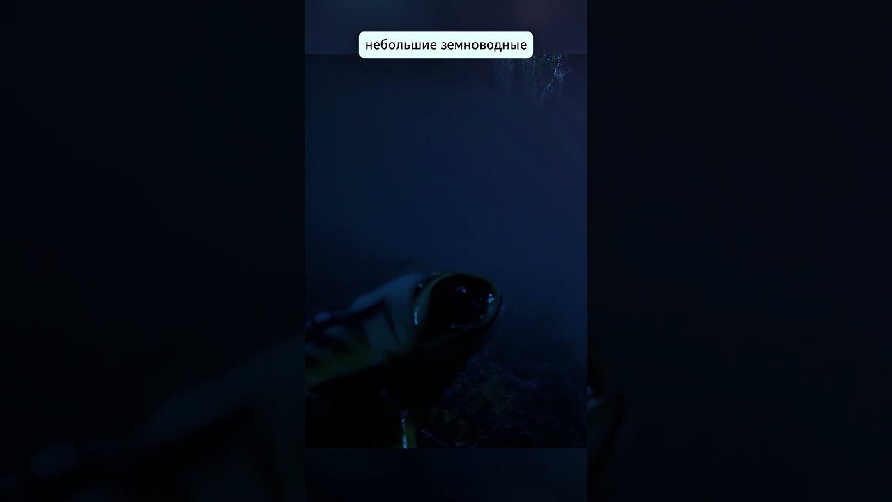 Инопланетная жизнь: исследования и открытия