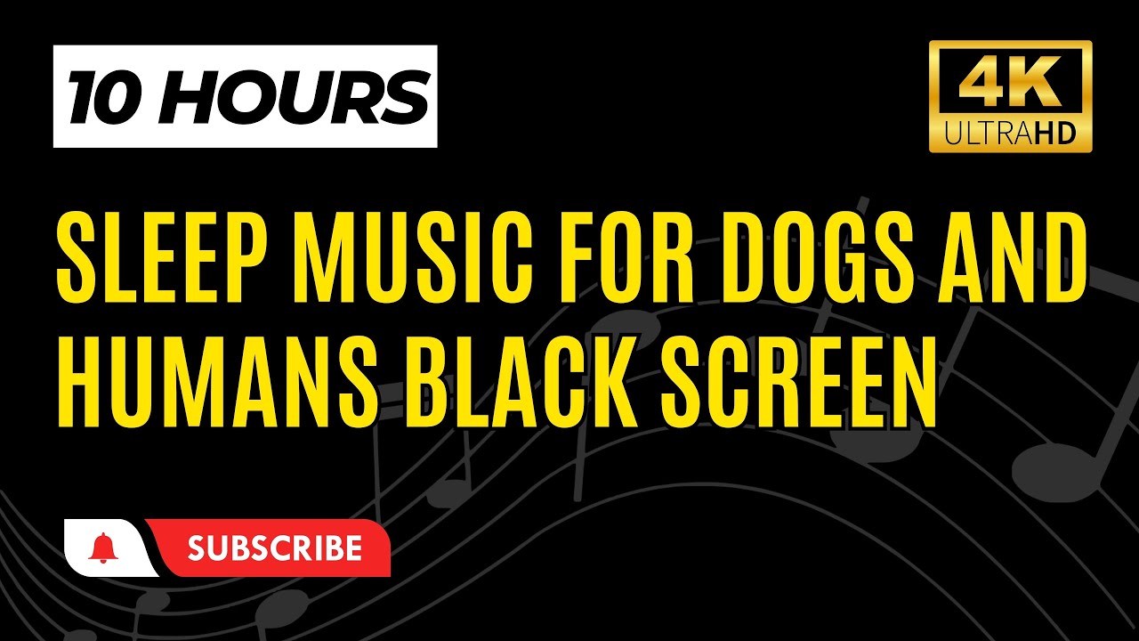 Sleep Music for Dogs & Humans - 10 Hours 🐶🎶