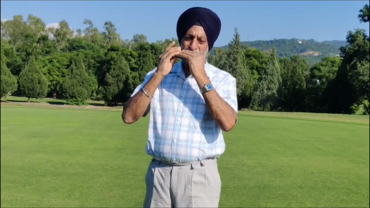 Hukus Bukus Harmonica Instrumental by Jagjit Singh 🎶