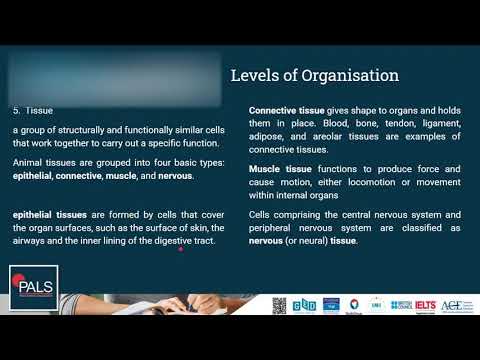 Pass GED Science | Levels of Organization