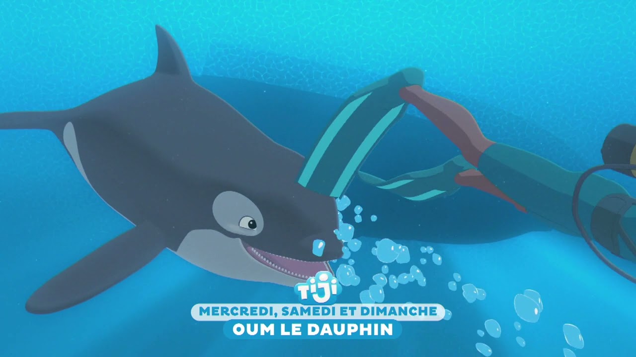 Oum le Dauphin Blanc revient sur TiJi 🐬