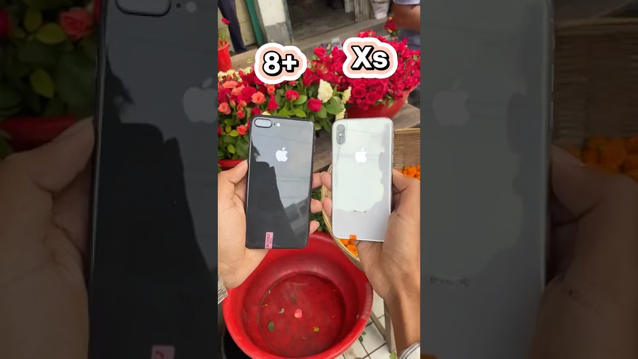 iPhone 8 Plus vs iPhone Xs Camera Test 📸