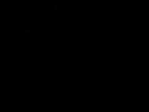 Can I Can I Can I - Shiloh Dynasty (HLIF Cover)