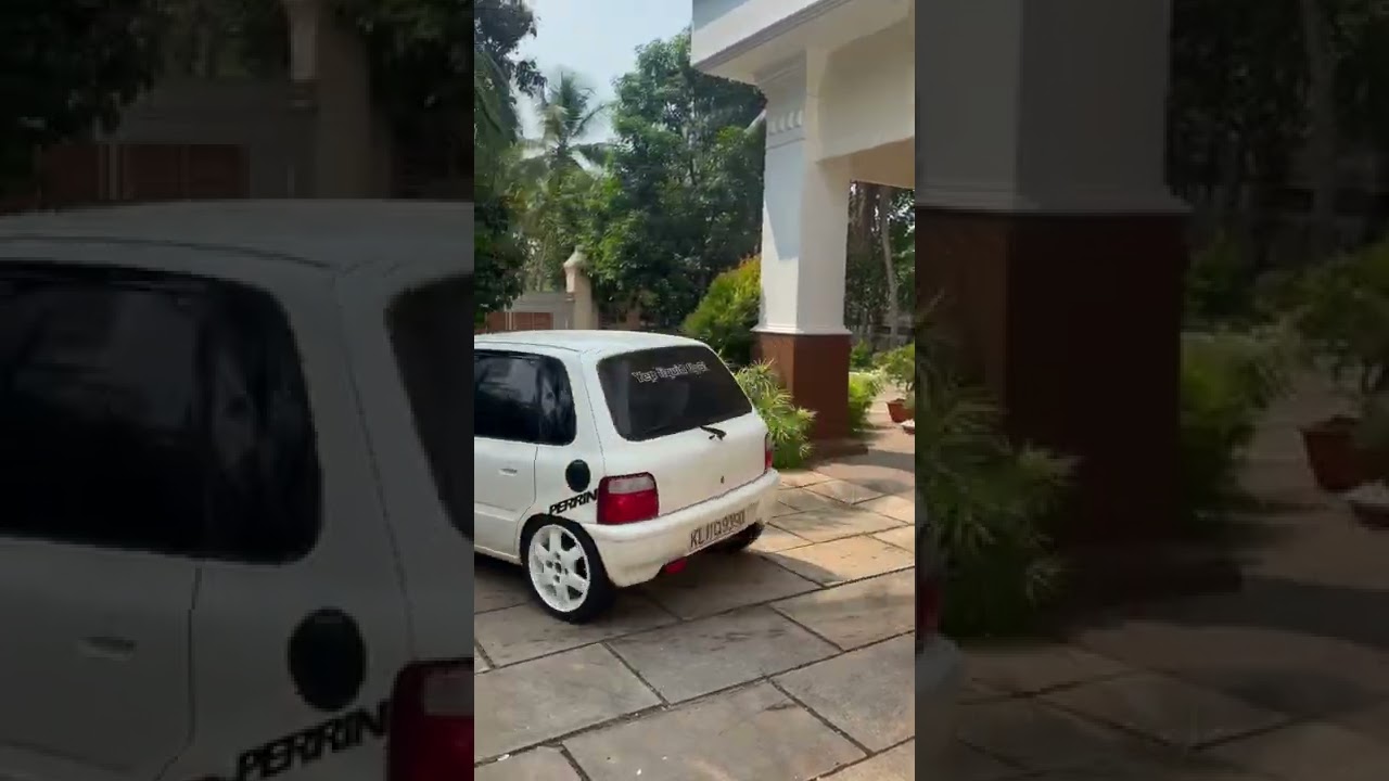 ZEN Championship White ๐ฏ๐ต | Restored & Rebuilt