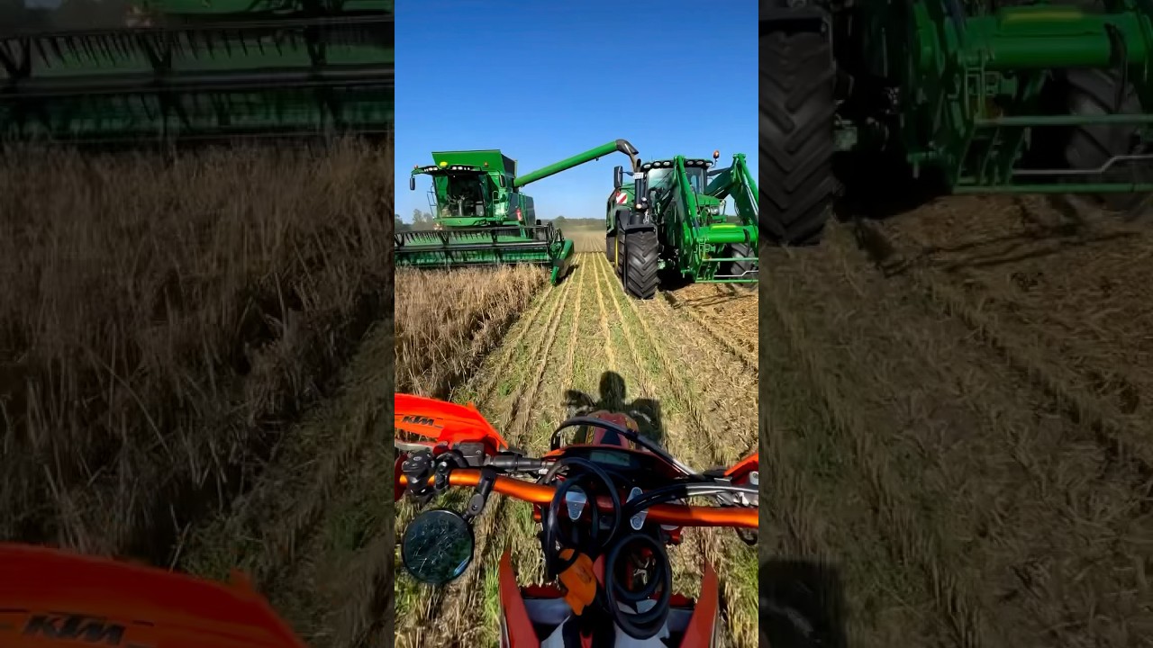 Von 9 Ein Tag auf dem Bauernhof: Von 9 bis 9 🚜