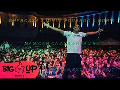 GHEBOASA & IONUT EDUARDO & NORIS - GAGICAR CA ASA VREAU EU (STELLIAN XTD EDIT)