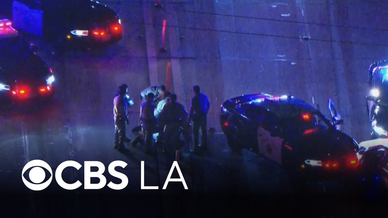 Suspect Fights CHP Officers on 405 After Pursuit 🚗