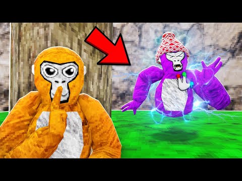 I PLAYER TRACKED A Gorilla Tag PRO...