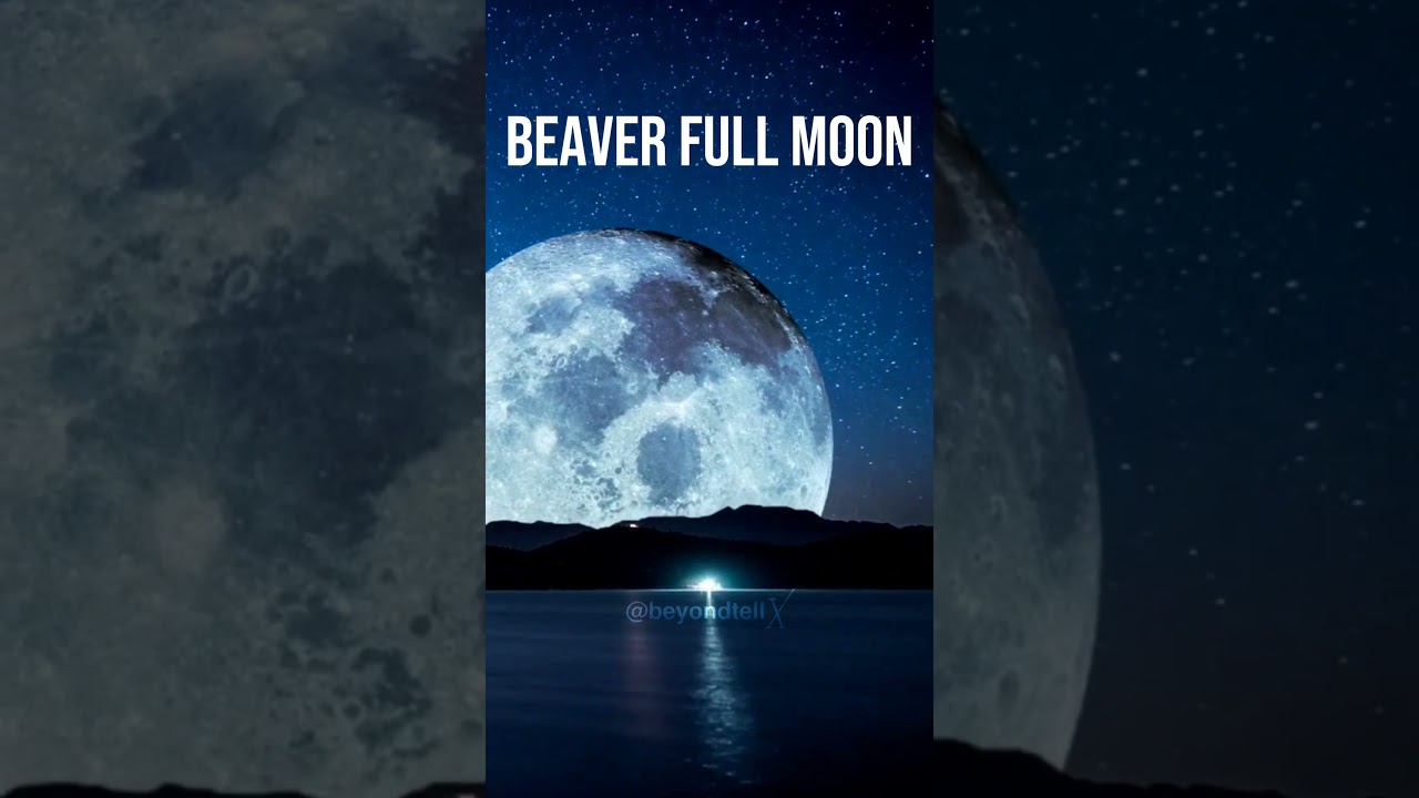 November 2025 Space Event ๐