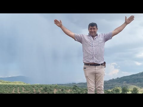 El dinero 💰 se gana honradamente 