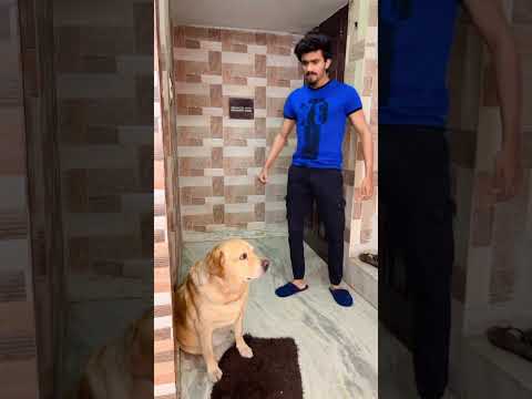 Yeh kya tha😱 #shorts | Anant rastogi