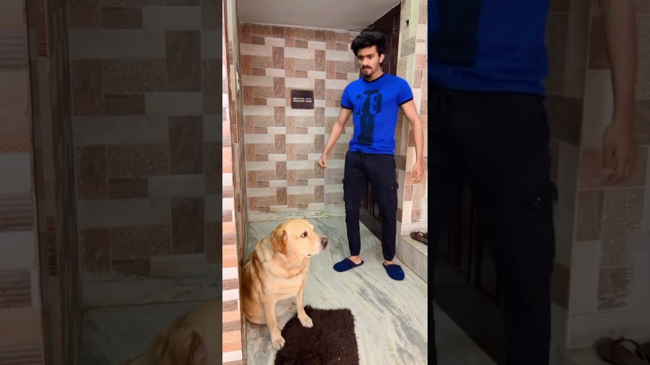 Mystery Unveiled! What Was That? 😱 #Shorts | Anant Rastogi