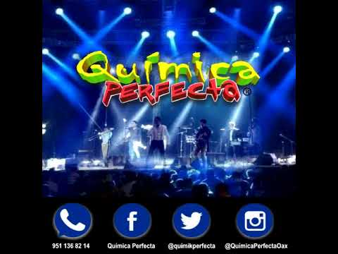 Química Perfecta: Funkete Contacto 📞