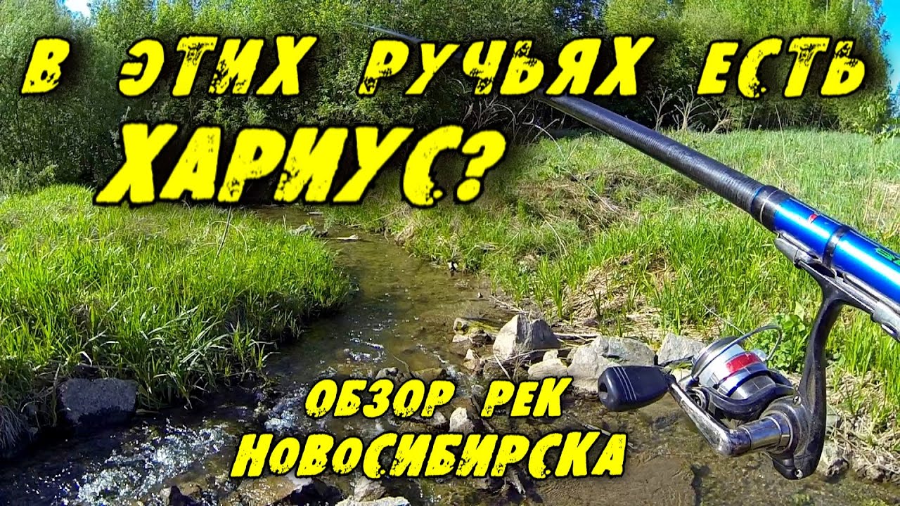 Рыбалка на Хариуса в Новосибирске 🎣