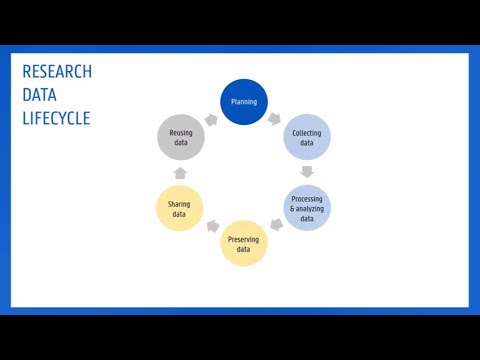 Understanding the Data Lifecycle in RDM 📊