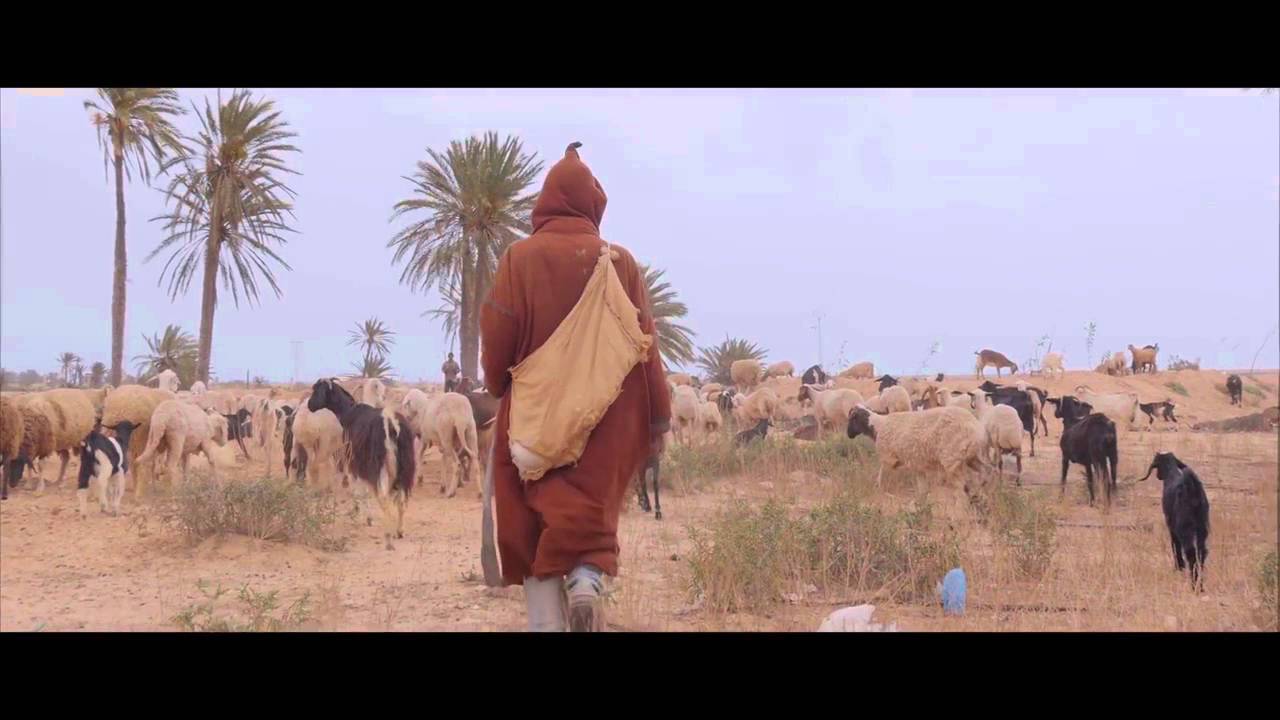 Balti Fel Barima Teaser Revealed! ๐ฅ