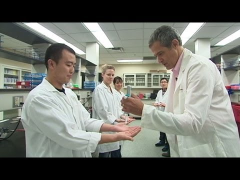 Hand Sanitizers and Soaps Put to the Test