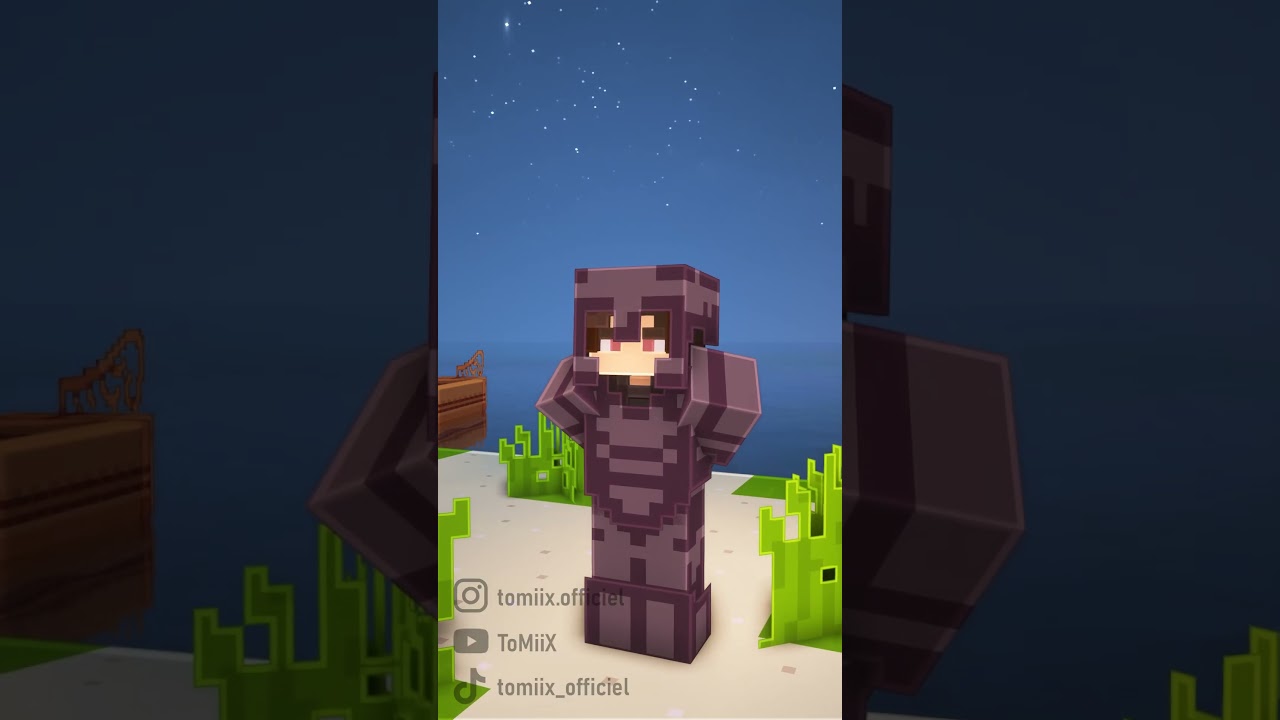 Être nouveau sur un serveur Minecraft...