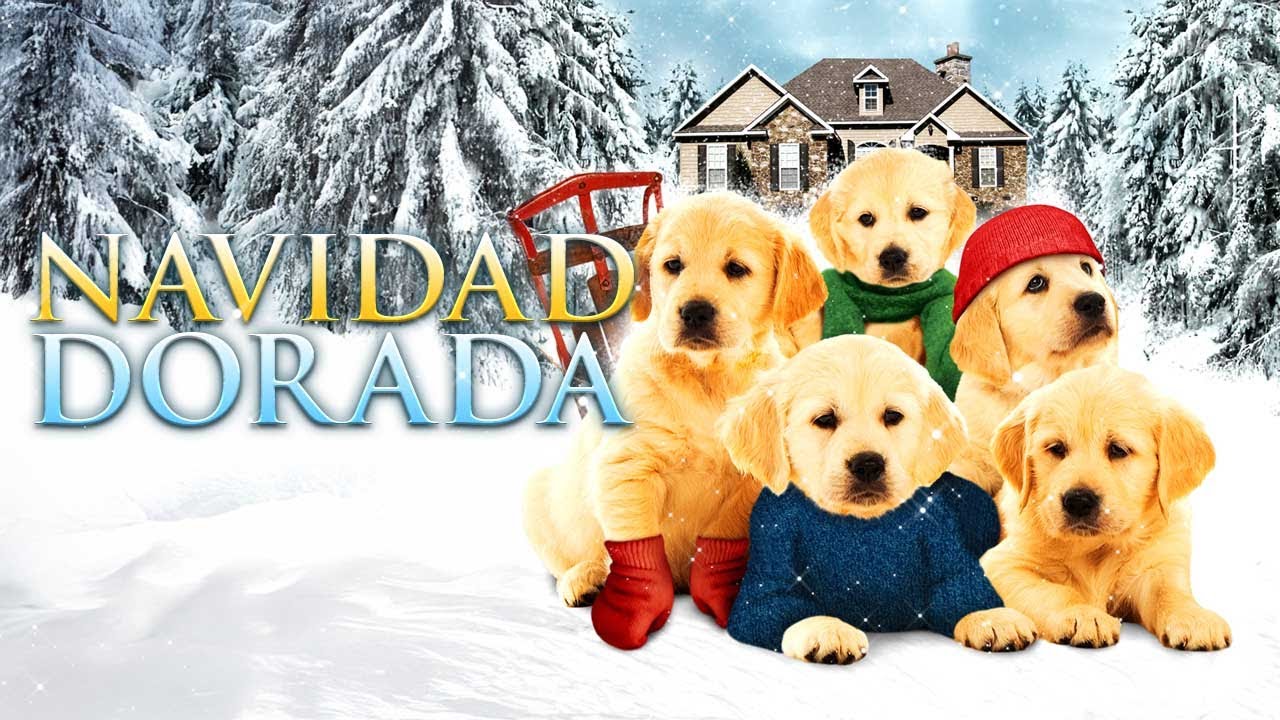 Navidad Dorada 🎄 | Películas Familiares y Aventuras en Español Latino