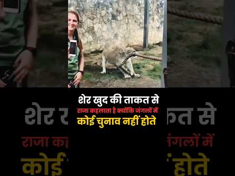 Lion is always king but Election is not allow #motivation #inspiration #success #motivationalquotes