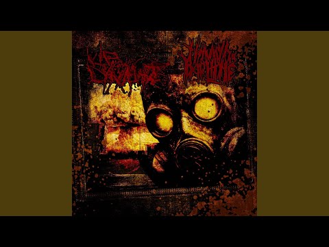 The Hinge Experience