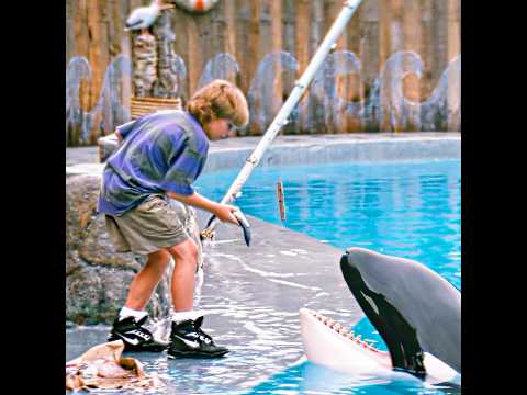Free Willy (1993) | The boy and the orca became friends🐳🌊💙